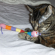 Illustration for article titled Noby Noby Cat Toy